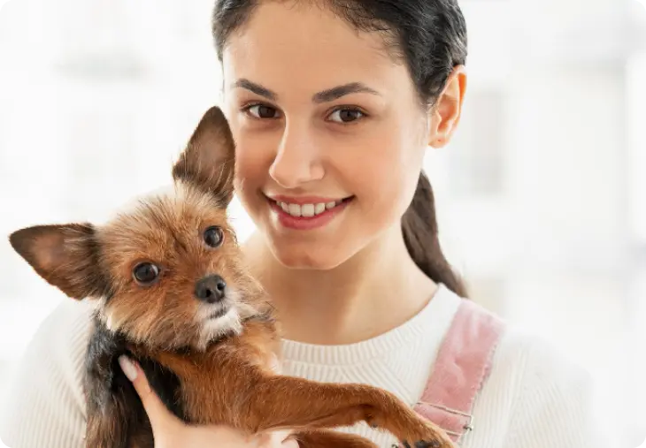 zoodleapp-find-trusted-pet-sitters-nearby