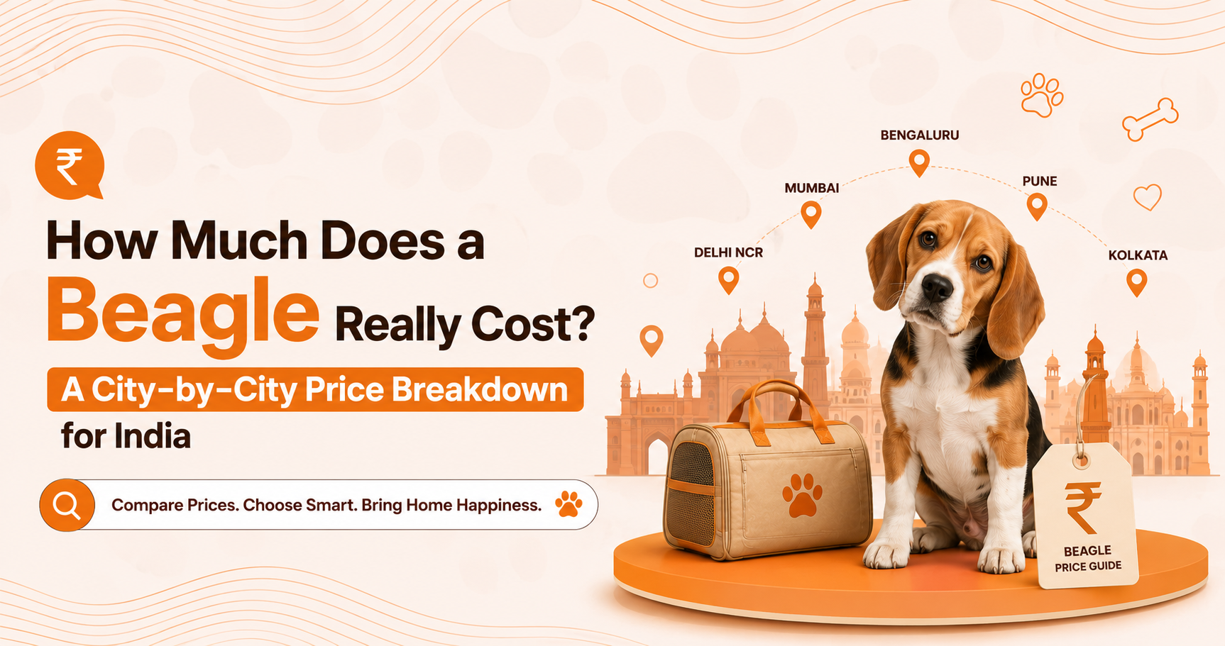 How Much Does a Beagle Really Cost? A City-by-City Price Breakdown for India