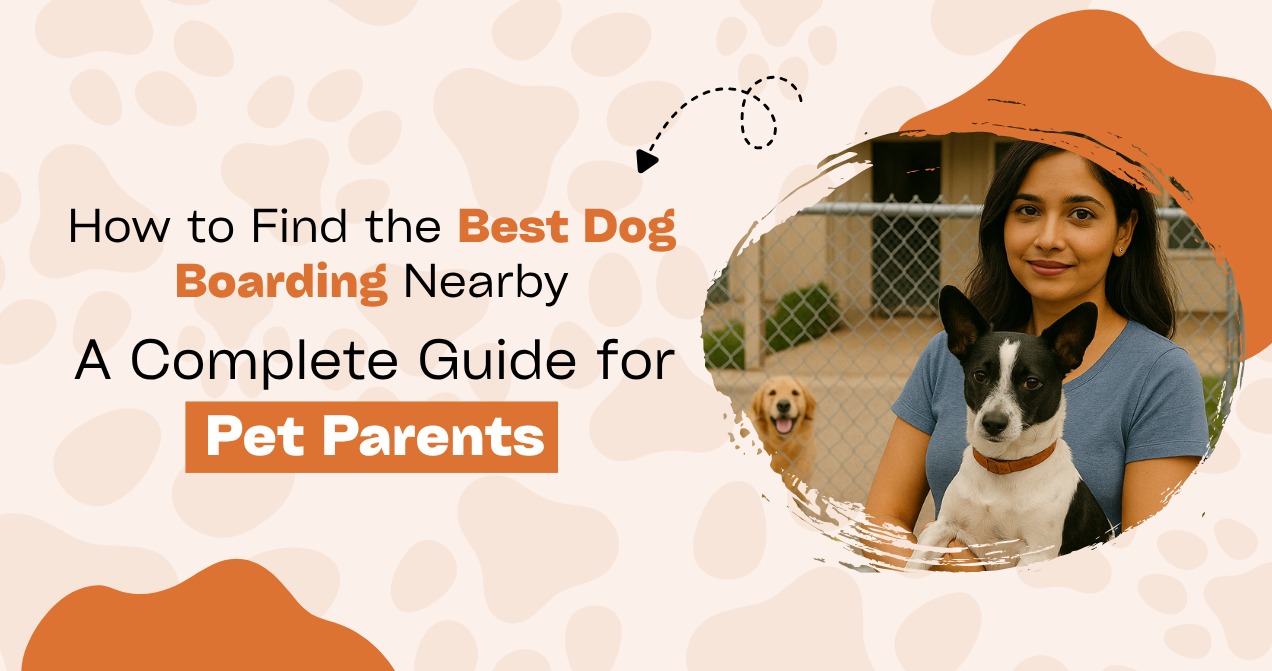 best-dog-boarding-near-me-expert-guide-2025