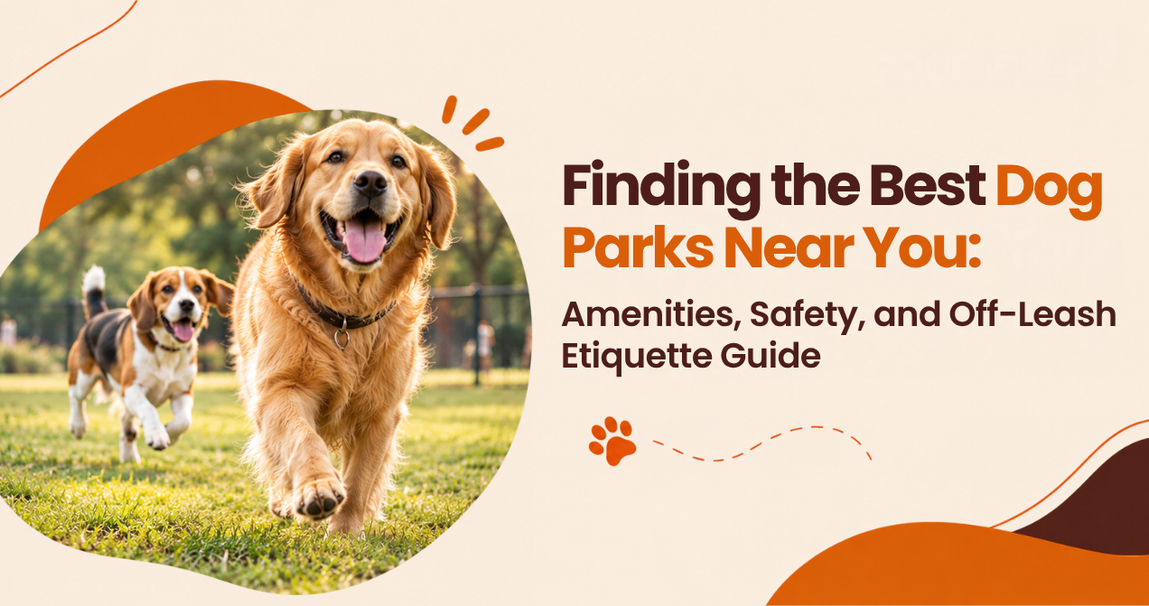 Finding the Best Dog Parks Near You: Amenities, Safety, and Off-Leash Etiquette Guide
