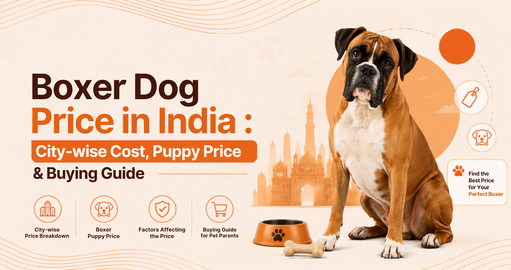 Boxer Dog Price in India: City-wise Cost, Puppy Price & Buying Guide
