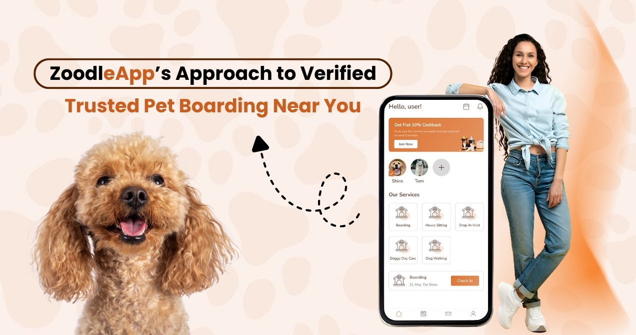 zoodleapp-find-trusted-pet-sitters-nearby