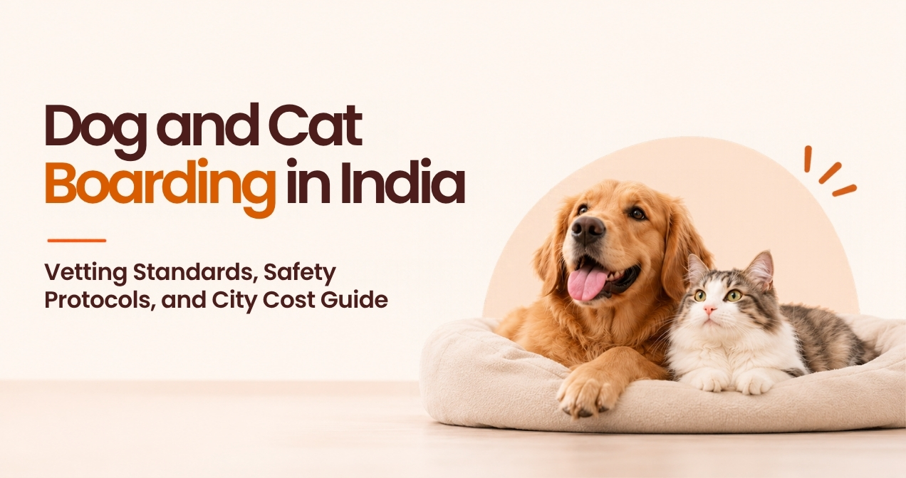 Dog and Cat Boarding in India: Vetting Standards, Safety Protocols, and City Cost Guide