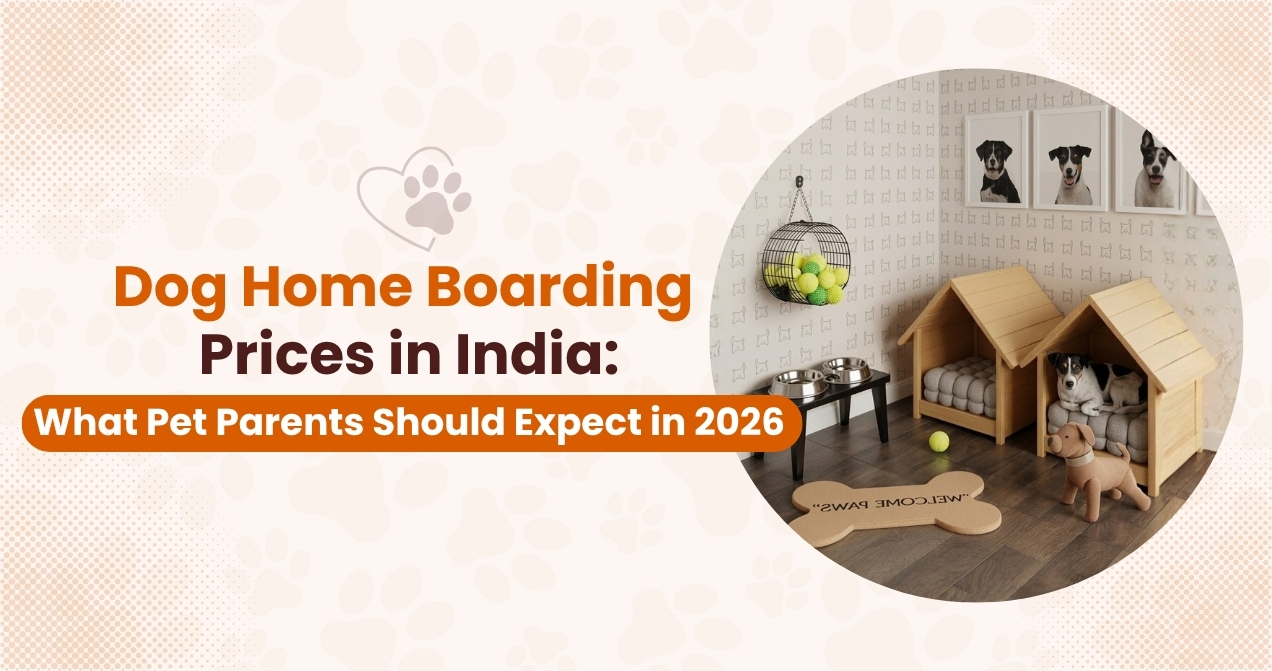 Dog Home Boarding Prices in India: What Pet Parents Should Expect in 2026