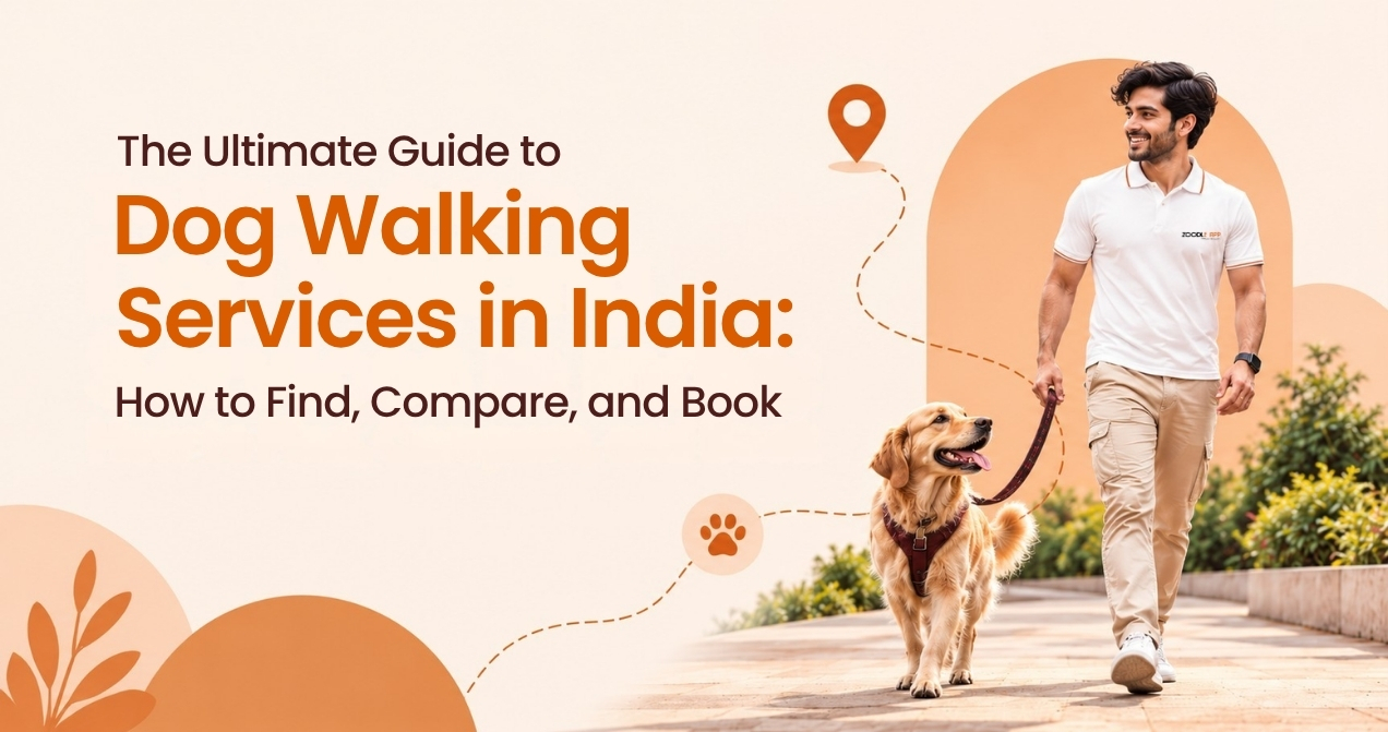The Ultimate Guide to Dog Walking Services in India: How to Find, Compare, and Book