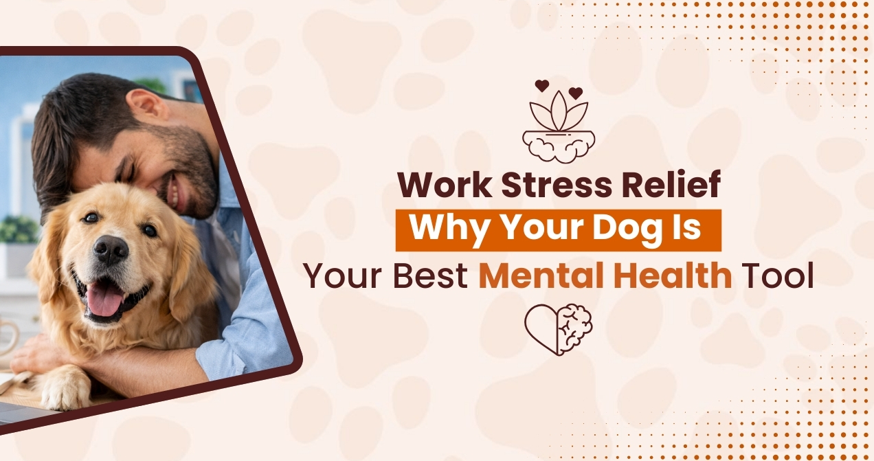 Work Stress Relief: Why Your Dog Is Your Best Mental Health Tool