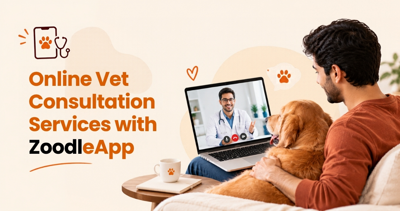Online Vet Consultation Services with ZoodleApp