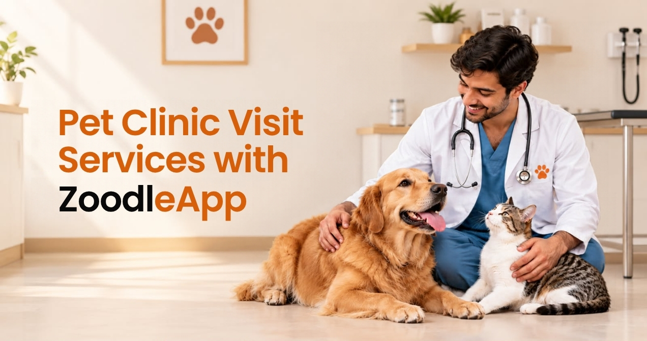 Pet Clinic Visit Services with ZoodleApp