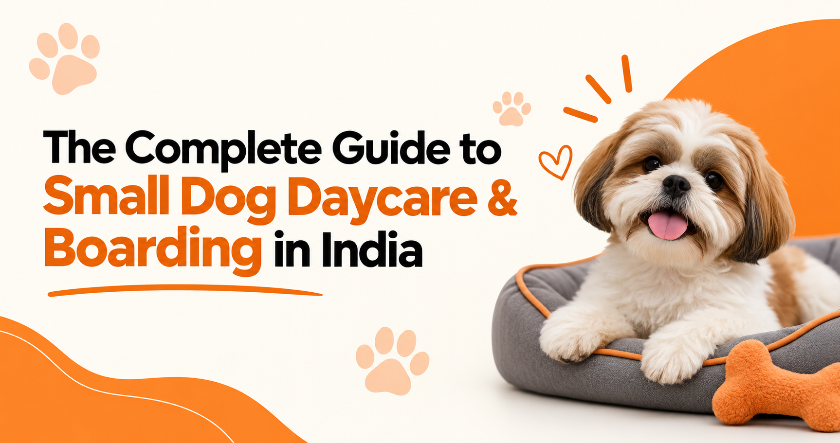 The Complete Guide to Small Dog Daycare & Boarding in India