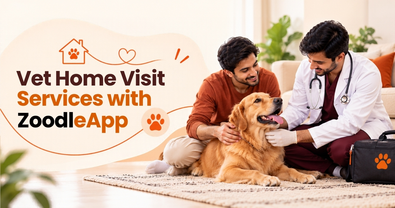 Vet Home Visit Services with ZoodleApp